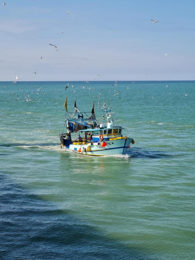 Appartamento L'Albatros Le Tréport Esterno foto